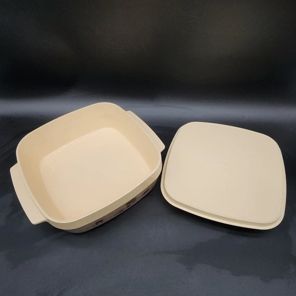 Vintage Tan Safari Landscape Insulated Serving Bowl MCM Retro Kitchen Decor